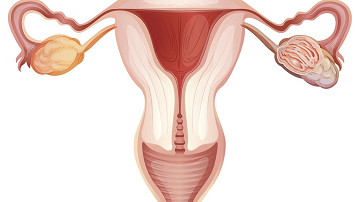 成都生殖专科医院哪家好-四川省生殖专科医院怎么样?