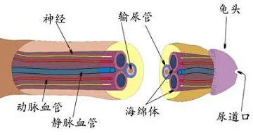 四川省生殖专科医院看男科怎么样?