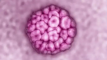 四川省生殖专科医院的医生讲解怀孕期间发现HPV阳性，“留”还是“流”