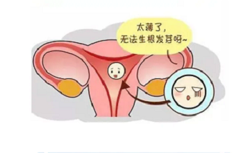 成都排卵期子宫内膜太薄、太厚怎么办？